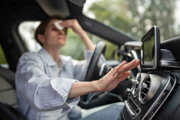 Best Air Conditioning Repair  in Brownsville, PA
